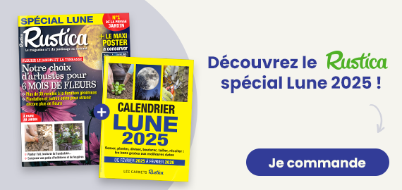 Spécial Lune 2025
